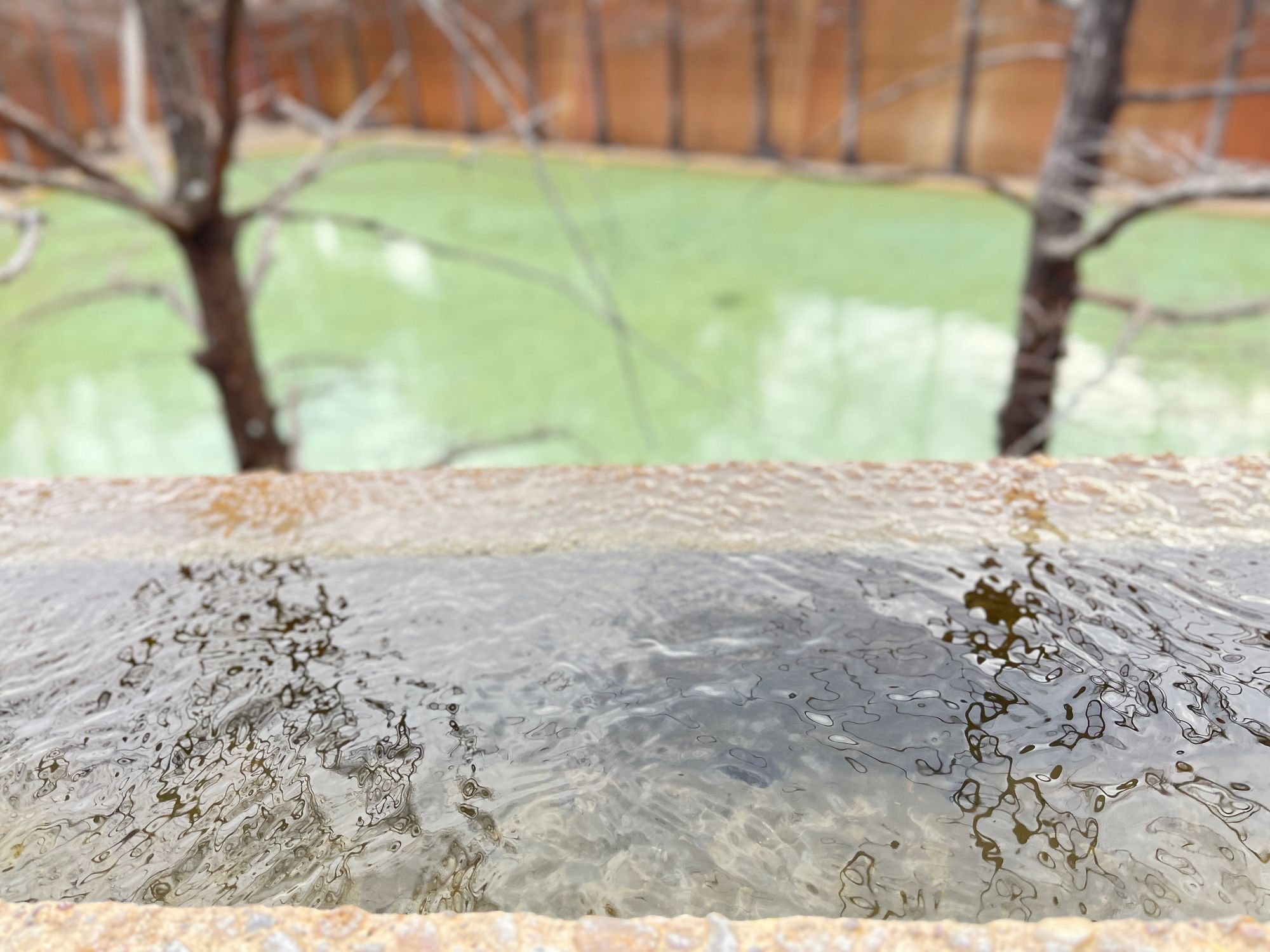 Water park and trees